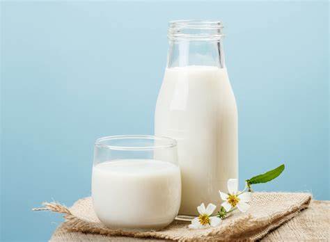 Fresh Milk Pack