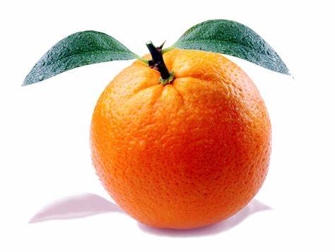 Juicy Oranges